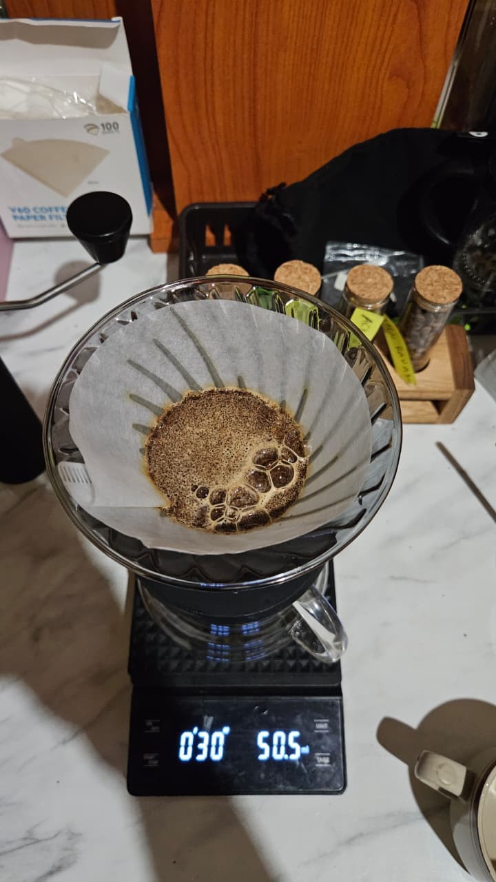Brewing Coffee